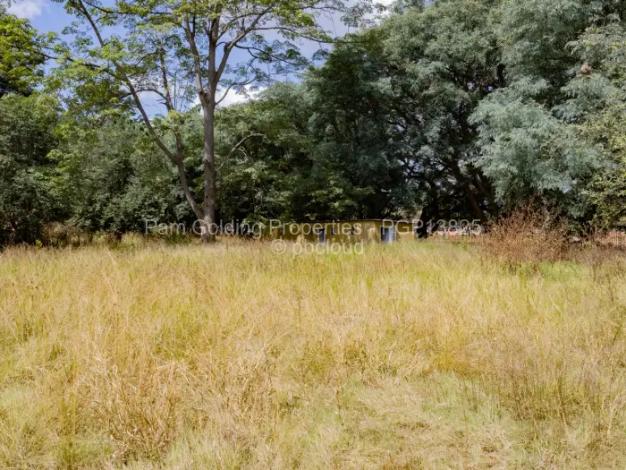 Commercial Stand to Rent in Harare City Centre