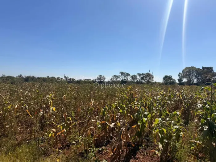 6 Bedroom House for Sale in Harben park, Gweru