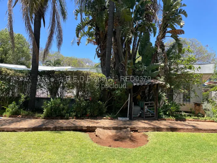 3 Bedroom House to Rent in Suburbs, Bulawayo