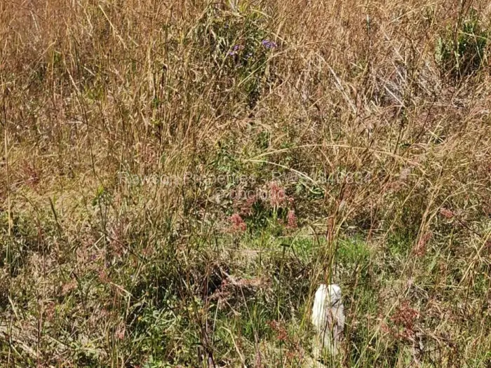 Residential Stand for Sale in Pomona, Harare