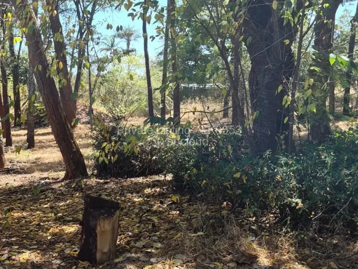 Office to Rent in Highlands, Harare