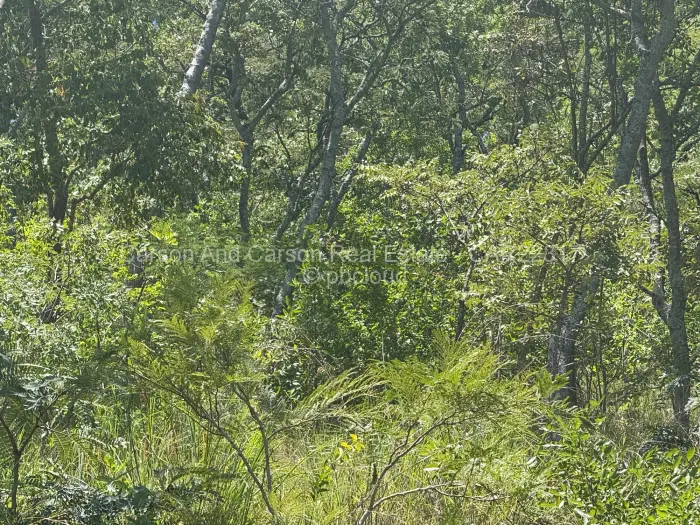 Commercial Stand for Sale in Mutoko, Mutoko