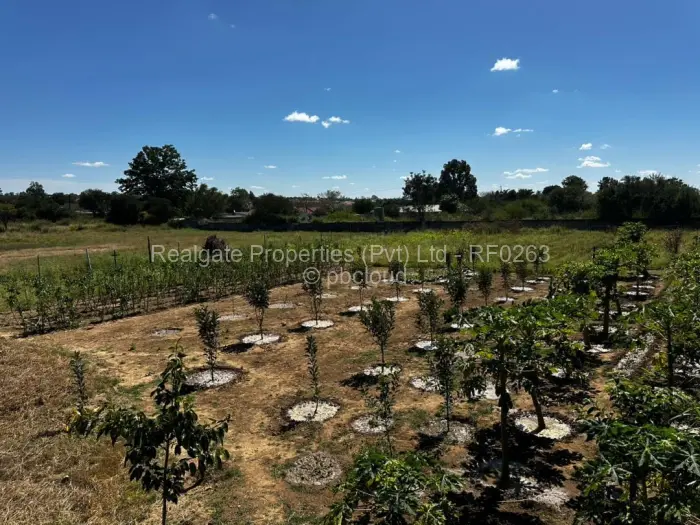 Residential Stand for Sale in Sunning Hill, Bulawayo