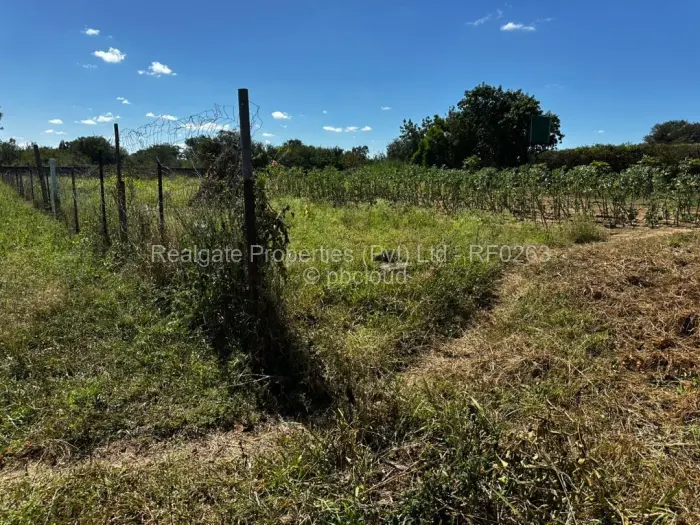 Residential Stand for Sale in Sunning Hill, Bulawayo
