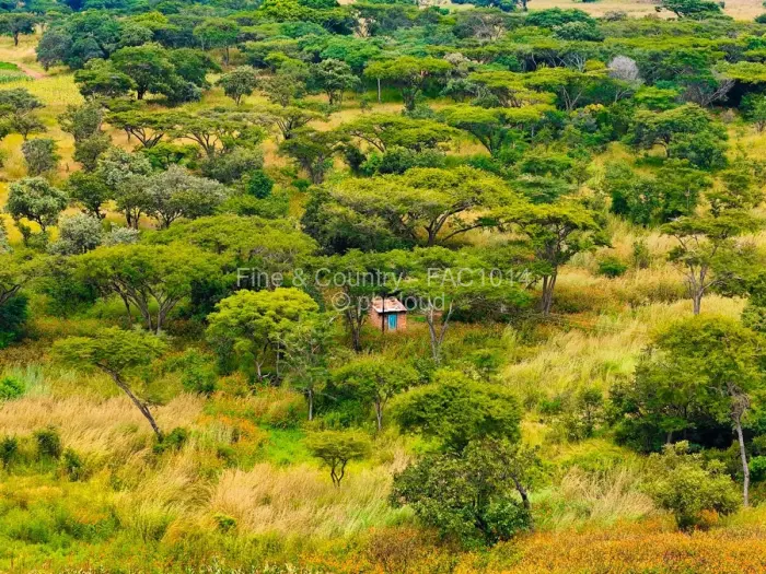 Farm/Plot for Sale in Nyabira, Zvimba