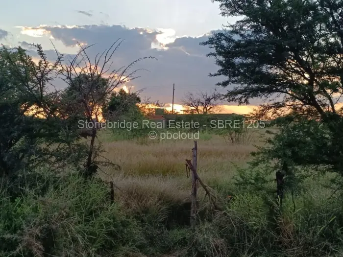 Residential Stand for Sale in Woodville Park, Bulawayo