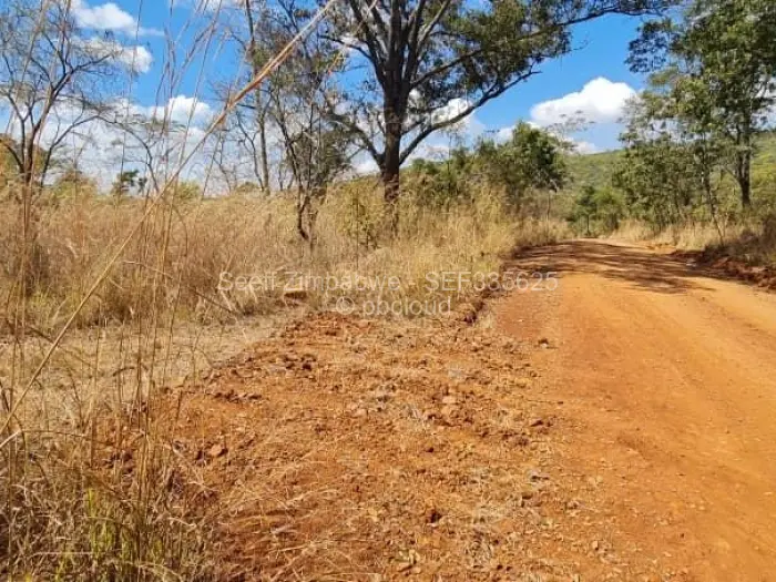 Farm/Plot for Sale in Cromlet, Arcturus