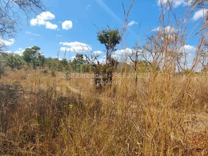 Farm/Plot for Sale in Cromlet, Arcturus