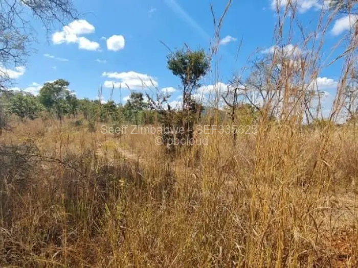 Farm/Plot for Sale in Cromlet, Arcturus