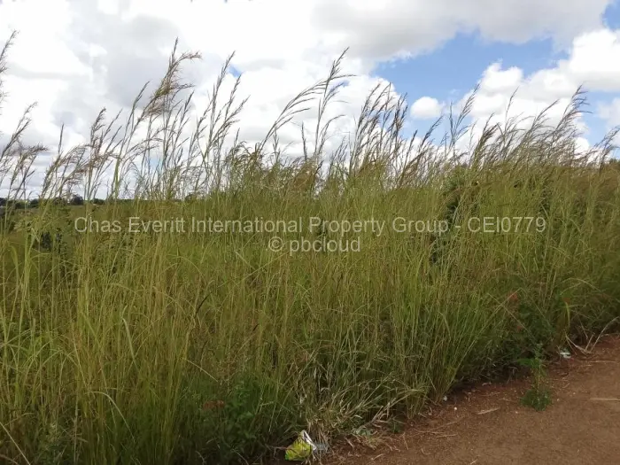 Residential Stand for Sale in Hatcliffe, Harare
