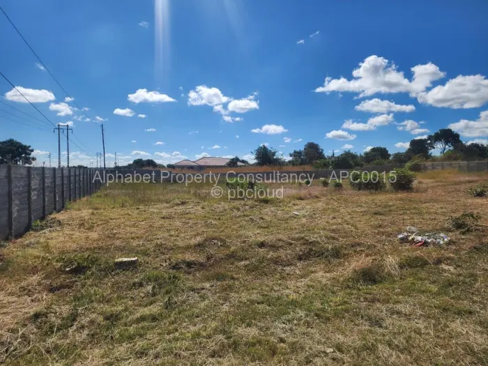 Commercial Stand to Rent in Zimre Park