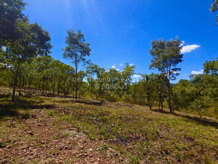 Farm/Plot for Sale in Arcturus, Arcturus