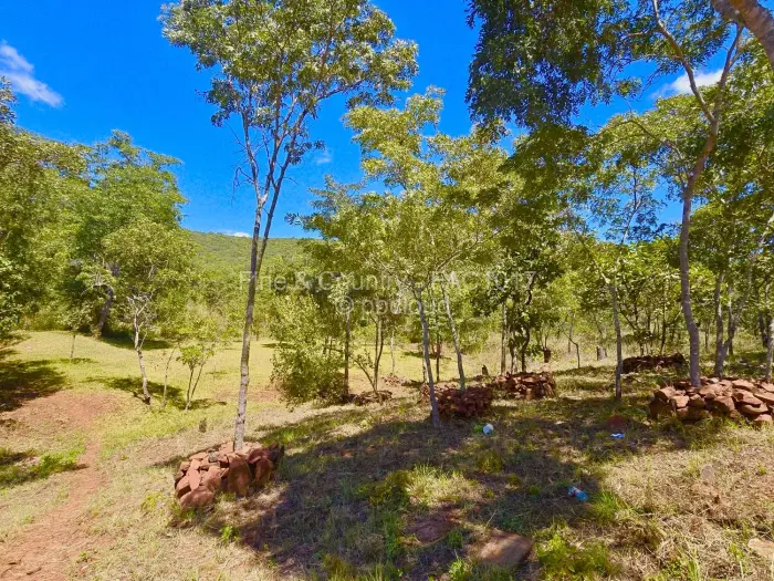 Farm/Plot for Sale in Arcturus, Arcturus