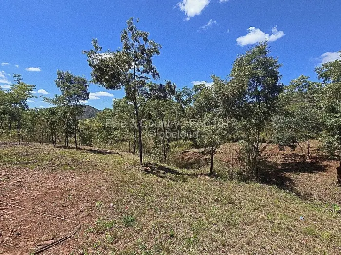Farm/Plot for Sale in Arcturus, Arcturus