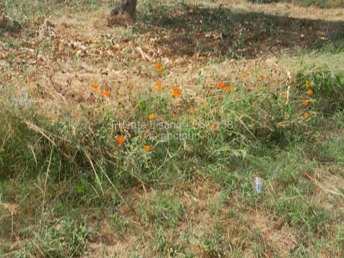 Residential Stand for Sale in Crowhill Views, Harare