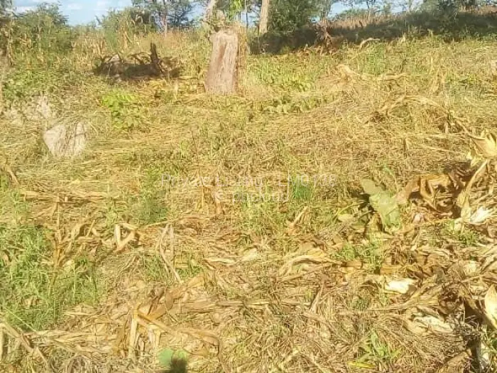 Residential Stand for Sale in Crowhill Views, Harare