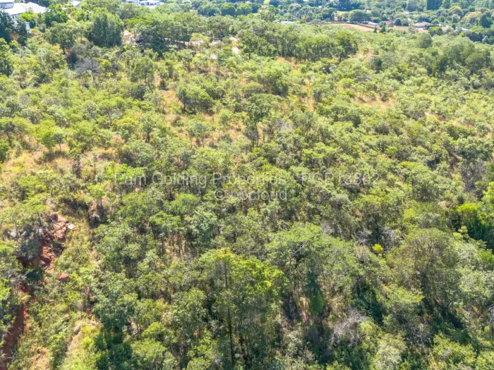 Residential Stand for Sale in Borrowdale, Harare