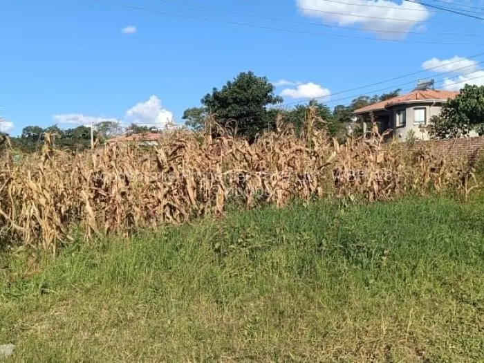 Residential Stand for Sale in Gletwin Park, Harare