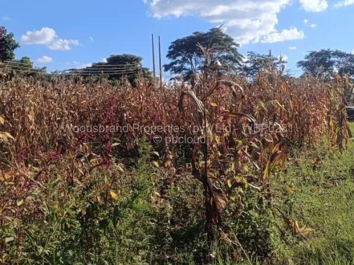 Residential Stand for Sale in Gletwin Park, Harare