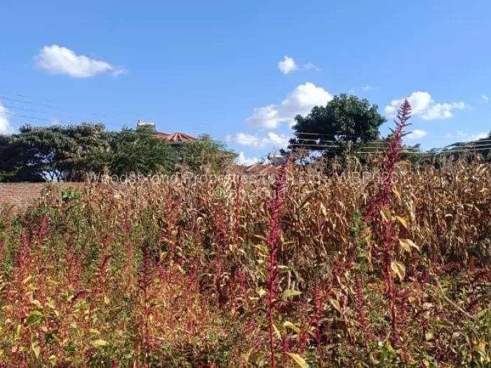 Residential Stand for Sale in Gletwin Park, Harare