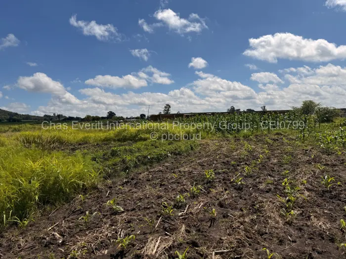 Residential Stand for Sale in Haydon Park, Mazowe