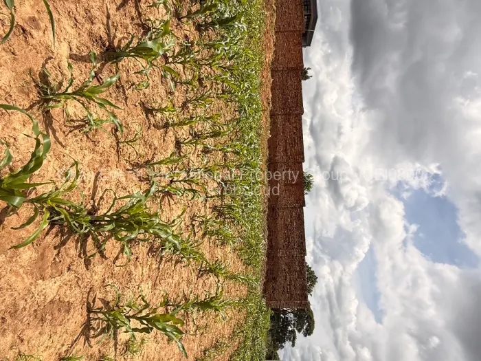 Residential Stand for Sale in Glen Lorne, Harare