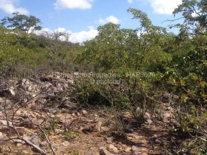 Commercial Stand for Sale in Mlibizi, Kariba