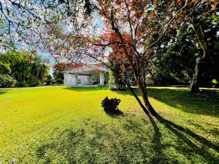 4 Bedroom House for Sale in Rolf Valley, Harare