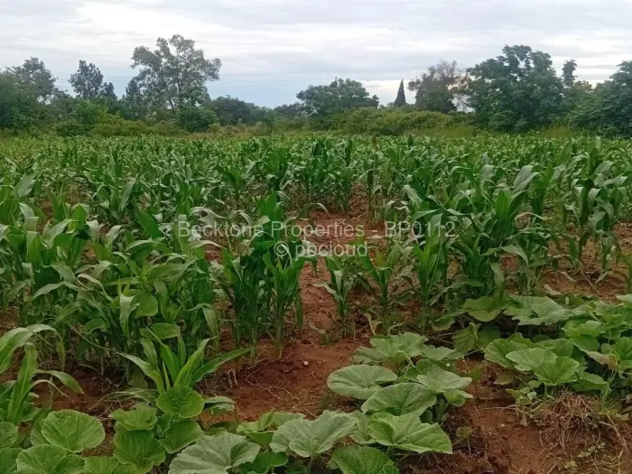 3 Bedroom House for Sale in Woodville, Bulawayo