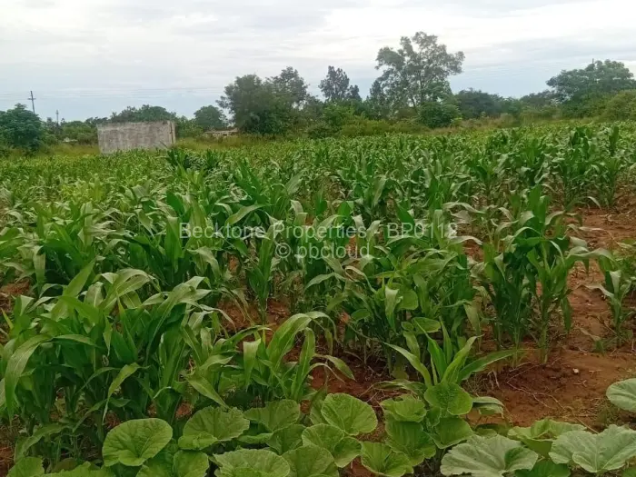 3 Bedroom House for Sale in Woodville, Bulawayo