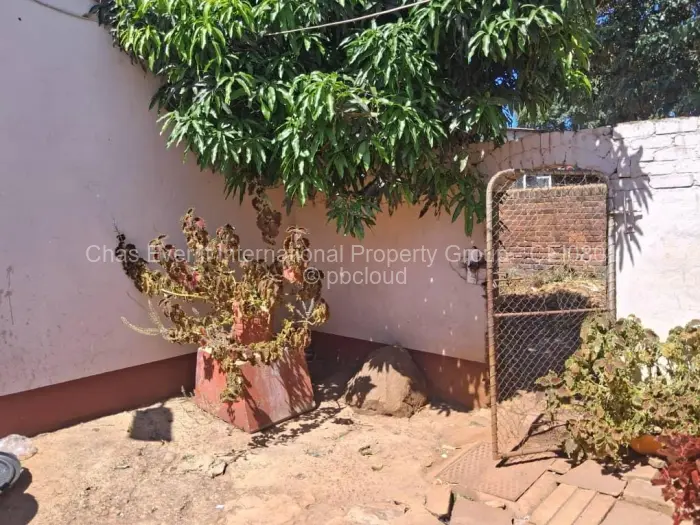 3 Bedroom House to Rent in Belvedere, Harare