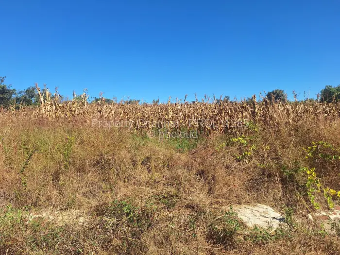 Residential Stand for Sale in Pomona, Harare