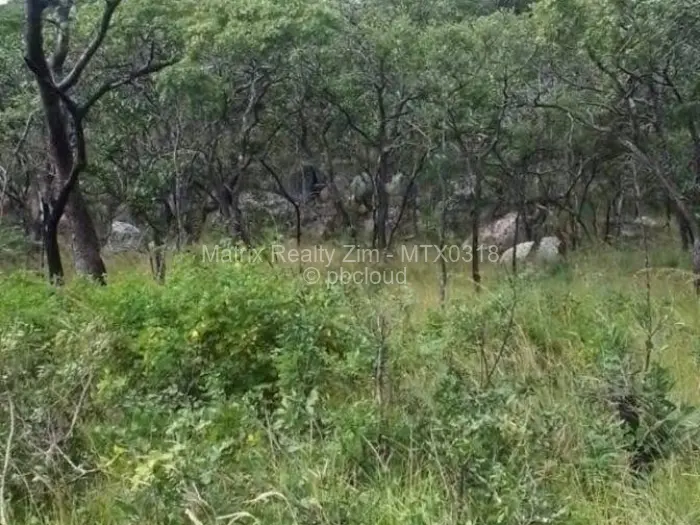 Farm/Plot for Sale in Chivhu, Chivhu