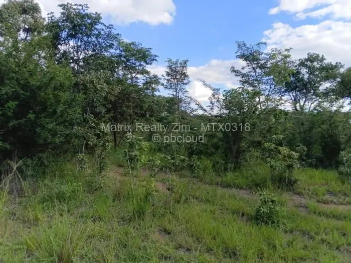 Farm/Plot for Sale in Chivhu, Chivhu
