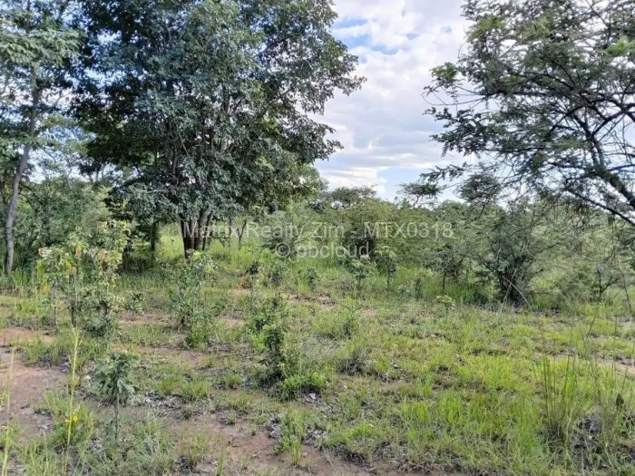 Farm/Plot for Sale in Chivhu, Chivhu