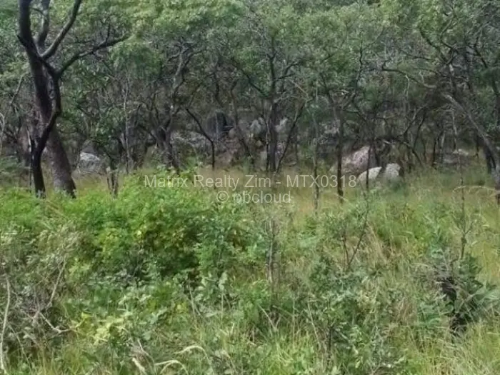Farm/Plot for Sale in Chivhu, Chivhu