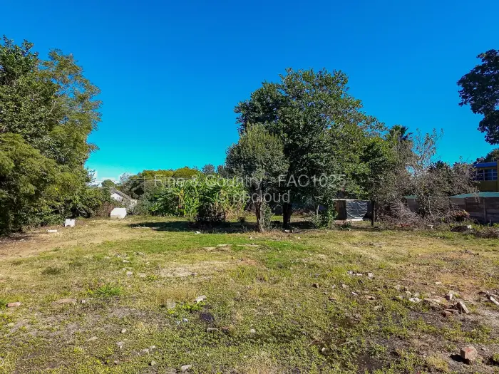 Commercial Stand for Sale in Avondale, Harare