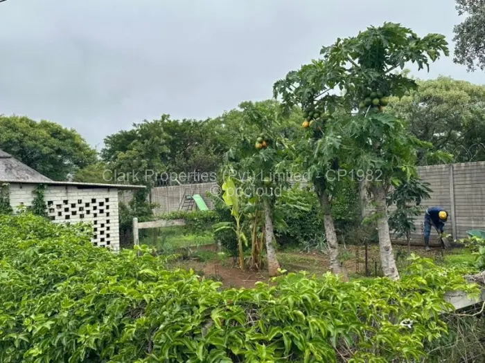 4 Bedroom House for Sale in Burnside, Bulawayo