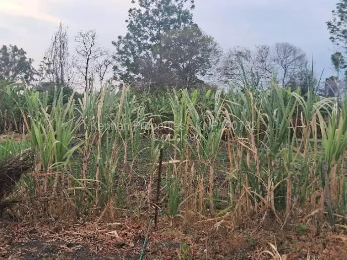 3 Bedroom House for Sale in Highlands, Harare