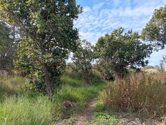 Farm/Plot for Sale in Ruwa, Ruwa