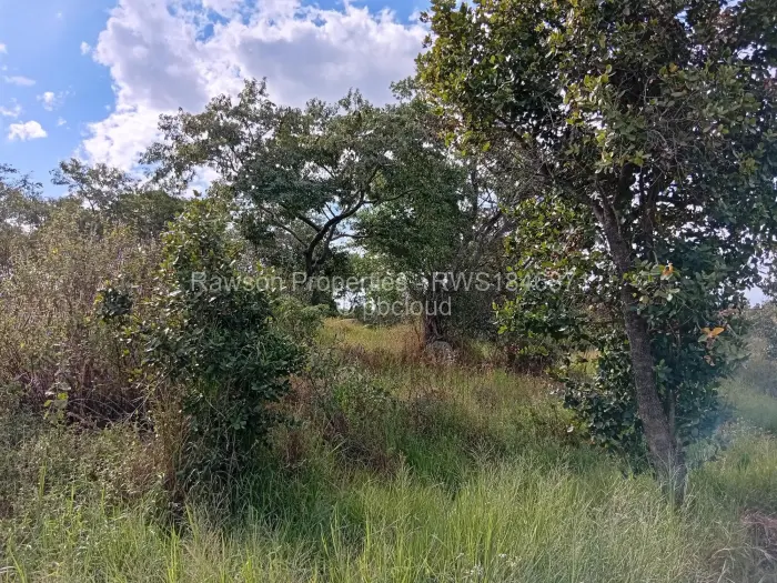Farm/Plot for Sale in Ruwa, Ruwa