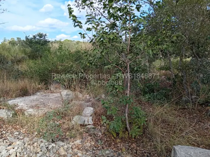 Farm/Plot for Sale in Ruwa, Ruwa