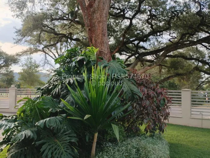 5 Bedroom House to Rent in Borrowdale Brooke, Harare
