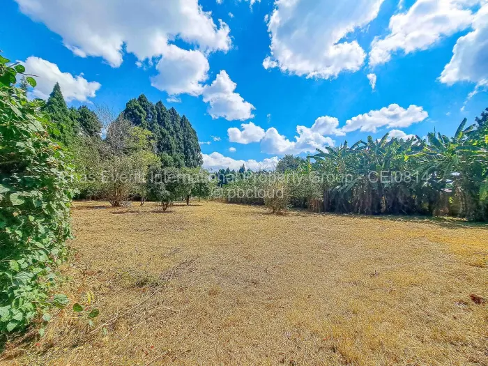 4 Bedroom House to Rent in Chisipite, Harare
