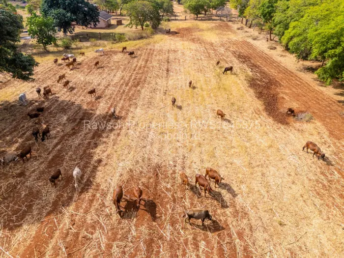 Farm/Plot for Sale in Chegutu, Chegutu