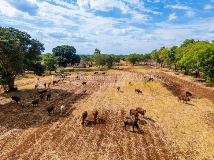 Farm/Plot for Sale in Chegutu, Chegutu