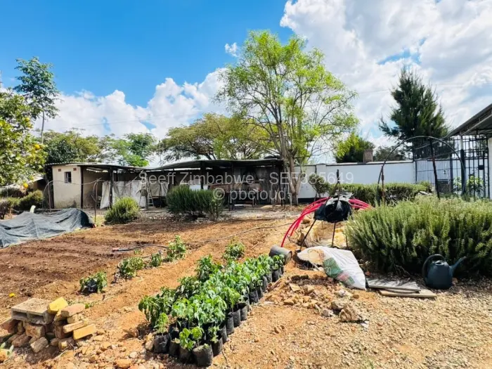 Farm/Plot for Sale in Norton, Norton