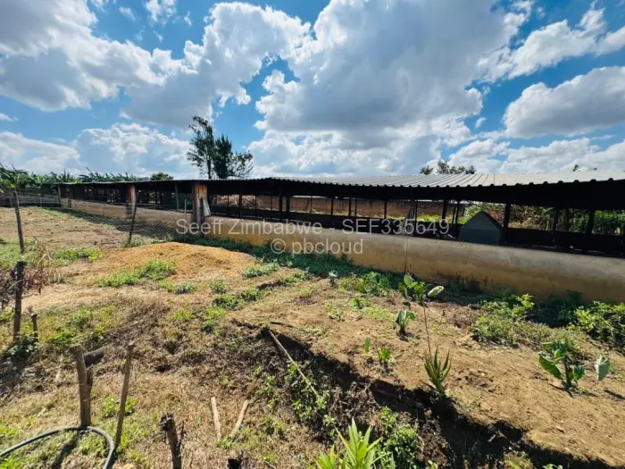 Farm/Plot for Sale in Norton, Norton