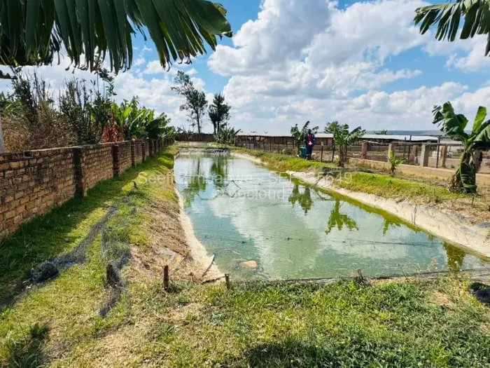 Farm/Plot for Sale in Norton, Norton