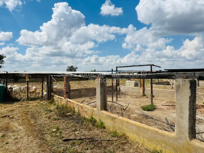 Farm/Plot for Sale in Norton, Norton